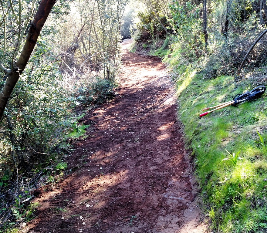 Trail after removing rocks and correcting out-slope.